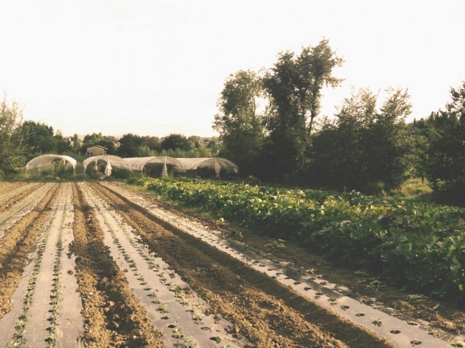 pian del pigro campagna
